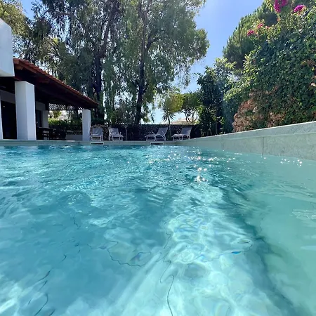 Premium With Pool By Homing